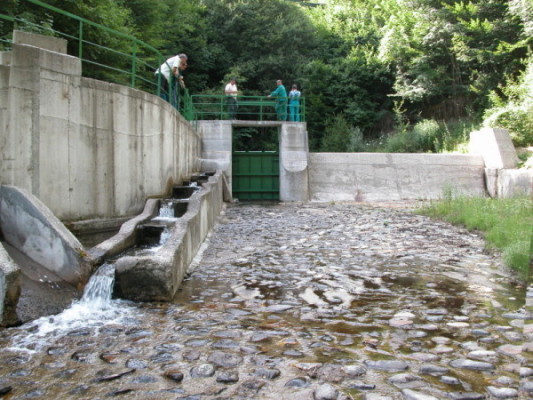 Рибен проход на водохващане