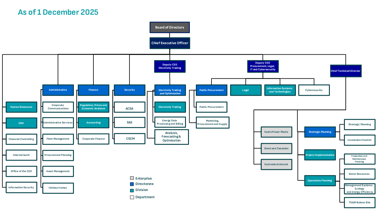 org structure new EN