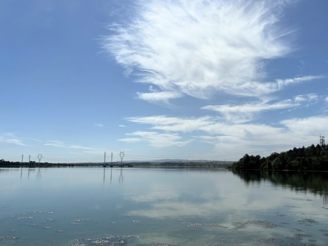 IMG 0061