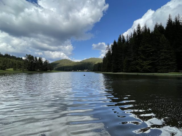 IMG E4091